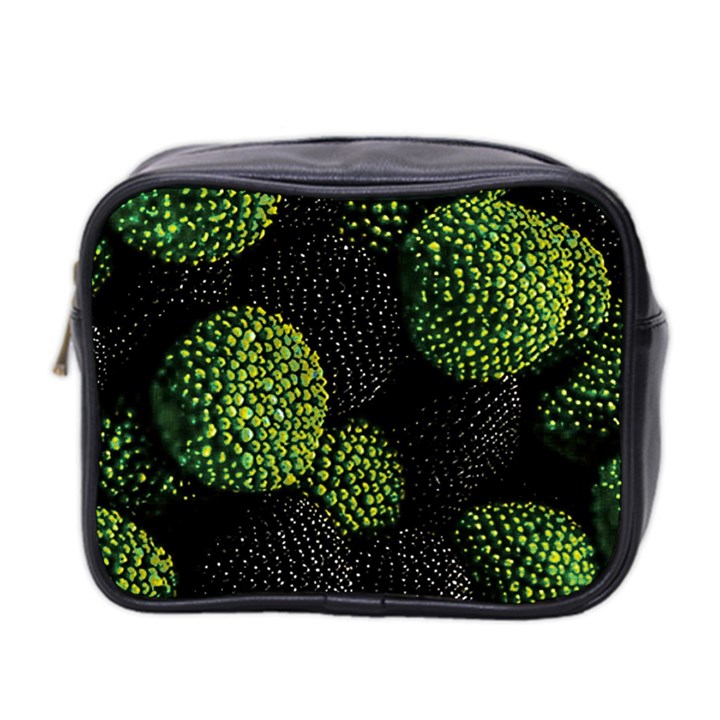 Berry,note, Green, Raspberries Mini Toiletries Bag (Two Sides)