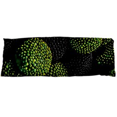 Berry,note, Green, Raspberries Body Pillow Case Dakimakura (two Sides) by nateshop