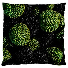 Berry,note, Green, Raspberries Large Cushion Case (one Side) by nateshop