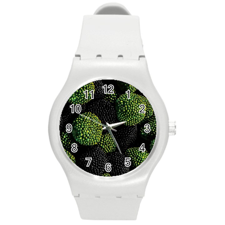 Berry,note, Green, Raspberries Round Plastic Sport Watch (M)