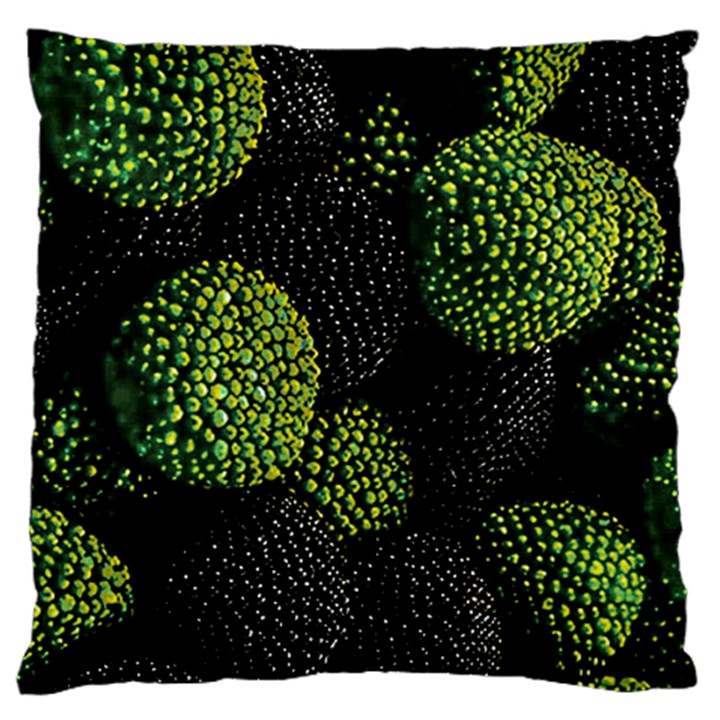 Berry,note, Green, Raspberries Large Premium Plush Fleece Cushion Case (One Side)