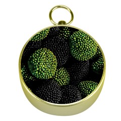 Berry,note, Green, Raspberries Gold Compasses by nateshop