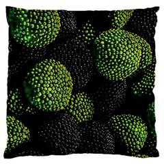 Berry,note, Green, Raspberries Standard Premium Plush Fleece Cushion Case (two Sides) by nateshop