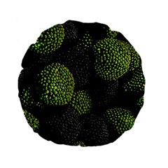 Berry,note, Green, Raspberries Standard 15  Premium Flano Round Cushions by nateshop