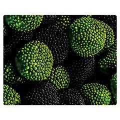 Berry,note, Green, Raspberries Two Sides Premium Plush Fleece Blanket (medium)