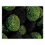 Berry,note, Green, Raspberries Two Sides Premium Plush Fleece Blanket (Large) 80 x60  Blanket Front