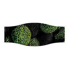 Berry,note, Green, Raspberries Stretchable Headband by nateshop