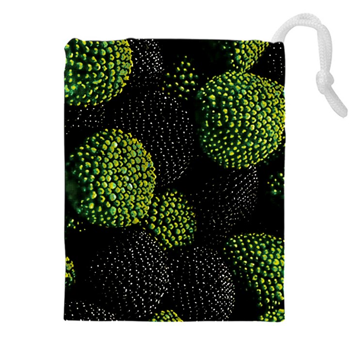 Berry,note, Green, Raspberries Drawstring Pouch (4XL)