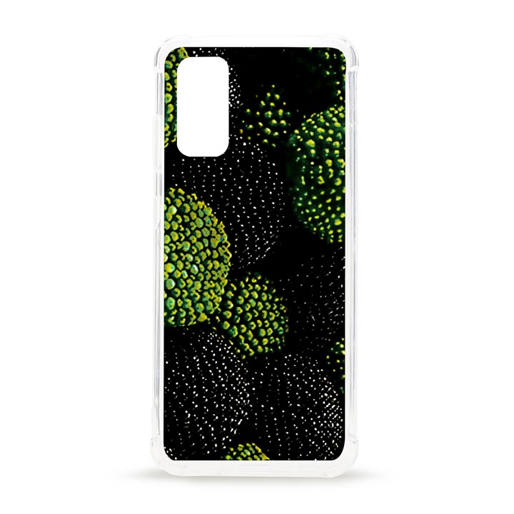 Berry,note, Green, Raspberries Samsung Galaxy S20 6.2 Inch TPU UV Case