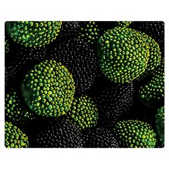 Berry,note, Green, Raspberries Premium Plush Fleece Blanket (medium) by nateshop