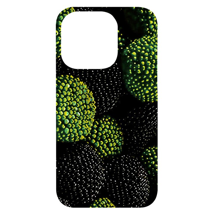 Berry,note, Green, Raspberries iPhone 14 Pro Black UV Print Case