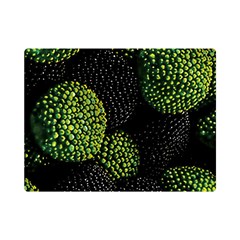 Berry,note, Green, Raspberries Premium Plush Fleece Blanket (mini) by nateshop