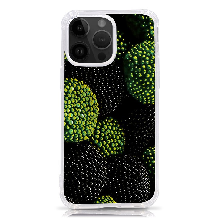 Berry,note, Green, Raspberries iPhone 14 Pro Max TPU UV Print Case