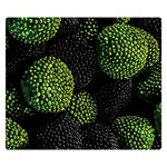 Berry,note, Green, Raspberries Premium Plush Fleece Blanket (Small) 50 x40  Blanket Front