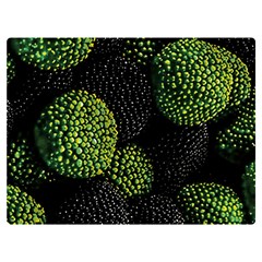 Berry,note, Green, Raspberries Two Sides Premium Plush Fleece Blanket (extra Small) by nateshop