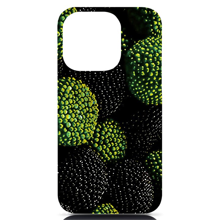 Berry,note, Green, Raspberries iPhone 14 Pro Black UV Print Case