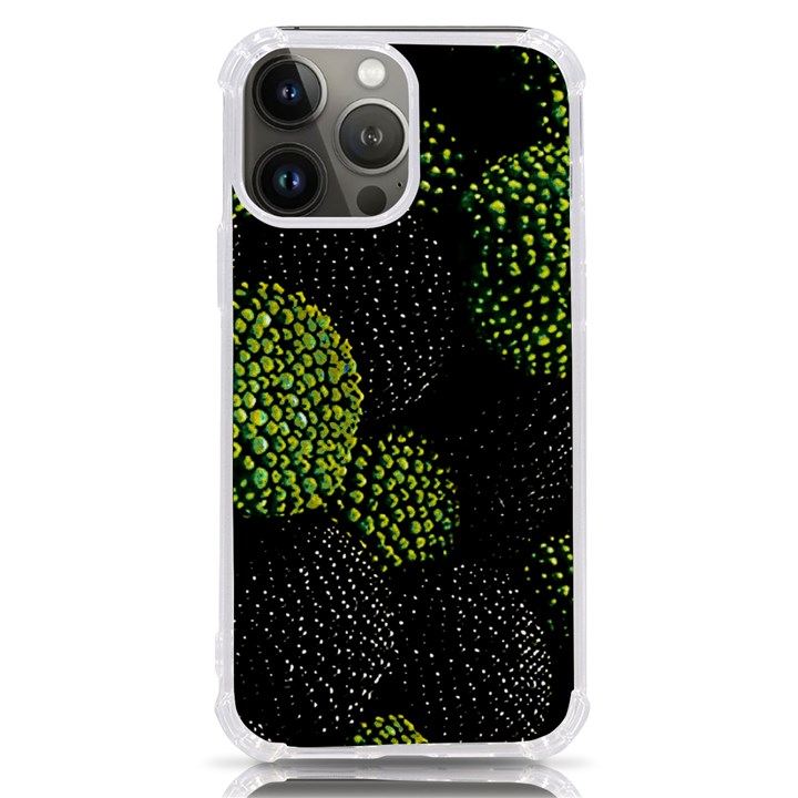 Berry,note, Green, Raspberries iPhone 13 Pro Max TPU UV Print Case