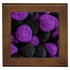 Berry,raspberry, Plus, One Framed Tile by nateshop