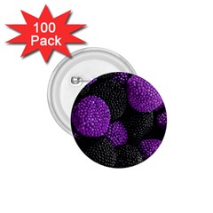 Berry,raspberry, Plus, One 1 75  Buttons (100 Pack)  by nateshop