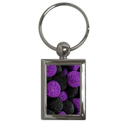 Berry,raspberry, Plus, One Key Chain (rectangle) by nateshop