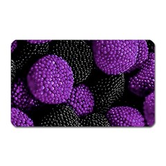 Berry,raspberry, Plus, One Magnet (rectangular) by nateshop