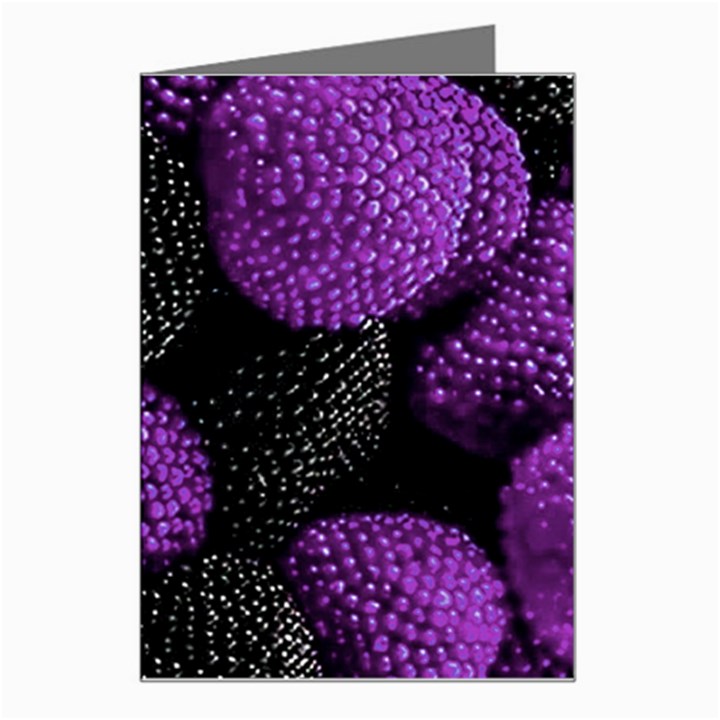 Berry,raspberry, Plus, One Greeting Card