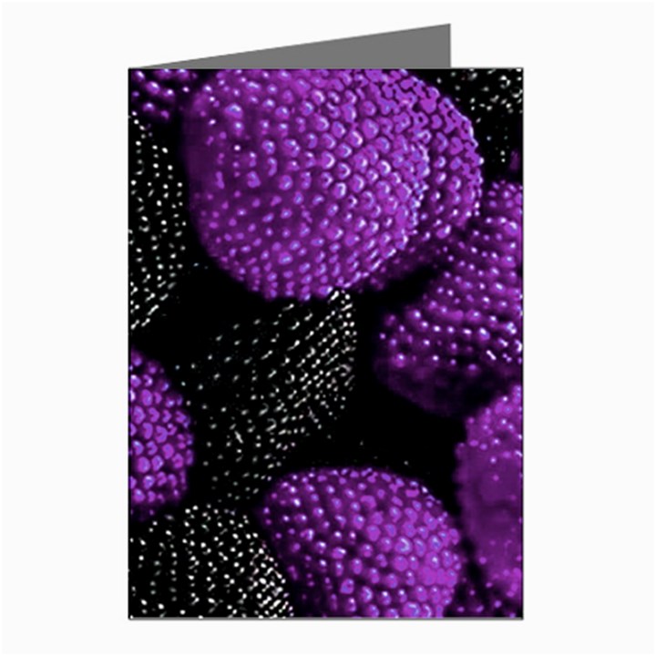 Berry,raspberry, Plus, One Greeting Cards (Pkg of 8)