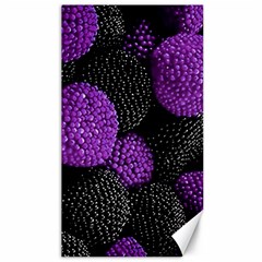 Berry,raspberry, Plus, One Canvas 40  X 72  by nateshop