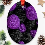 Berry,raspberry, Plus, One Oval Ornament (Two Sides) Front