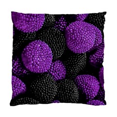 Berry,raspberry, Plus, One Standard Cushion Case (two Sides) by nateshop