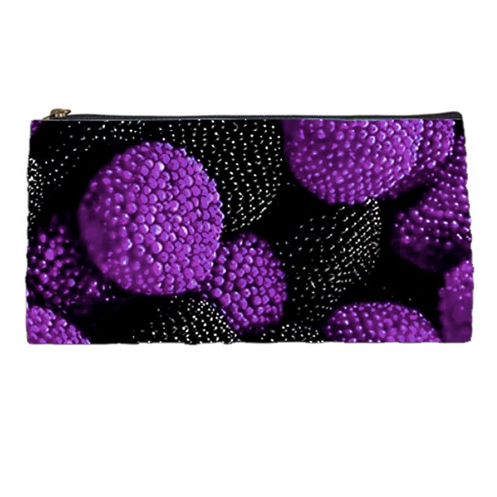 Berry,raspberry, Plus, One Pencil Case