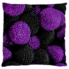 Berry,raspberry, Plus, One Large Cushion Case (one Side) by nateshop