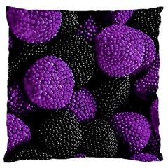 Berry,raspberry, Plus, One Large Premium Plush Fleece Cushion Case (one Side) by nateshop