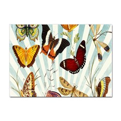 Butterfly-love Sticker A4 (100 Pack)