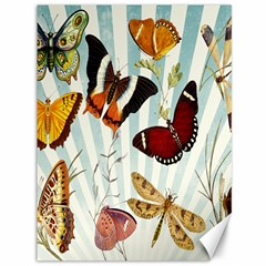 Butterfly-love Canvas 36  X 48  by nateshop