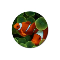 Fish Magnet 3  (round) by nateshop