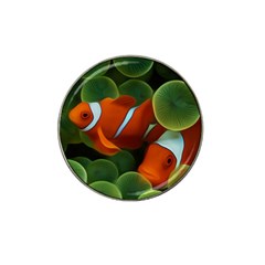 Fish Hat Clip Ball Marker (4 Pack)