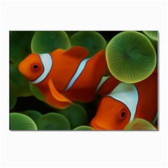 Fish Postcards 5  X 7  (pkg Of 10) by nateshop