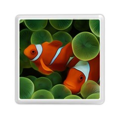 Fish Memory Card Reader (square)