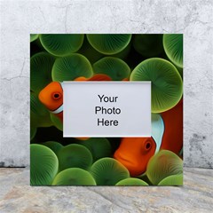 Fish White Box Photo Frame 4  X 6  by nateshop