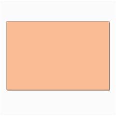 Peach Fuzz 2024 Postcard 4 x 6  (pkg Of 10) by dressshop