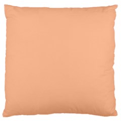 Peach Fuzz 2024 Large Cushion Case (one Side) by dressshop