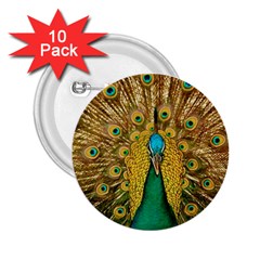 Peacock Feather Bird Peafowl 2 25  Buttons (10 Pack)  by Cemarart