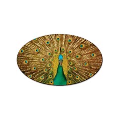 Peacock Feather Bird Peafowl Sticker Oval (10 Pack) by Cemarart