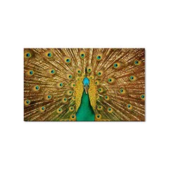 Peacock Feather Bird Peafowl Sticker Rectangular (10 Pack) by Cemarart