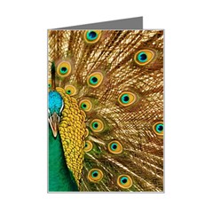 Peacock Feather Bird Peafowl Mini Greeting Card by Cemarart