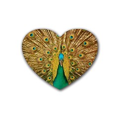 Peacock Feather Bird Peafowl Rubber Coaster (heart) by Cemarart