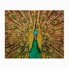 Peacock Feather Bird Peafowl Small Glasses Cloth (2 Sides) by Cemarart