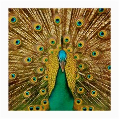 Peacock Feather Bird Peafowl Medium Glasses Cloth (2 Sides) by Cemarart