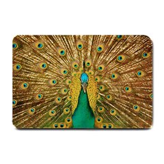 Peacock Feather Bird Peafowl Small Doormat by Cemarart